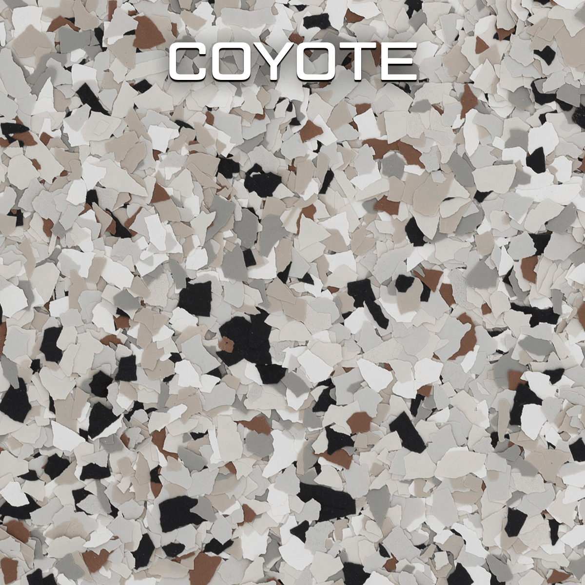 Coyote